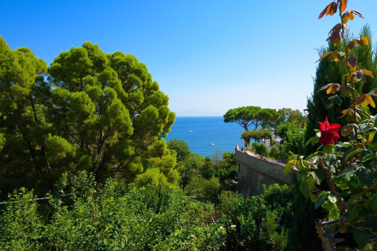Hotel Parco Cartaromana Ischia Esterno foto