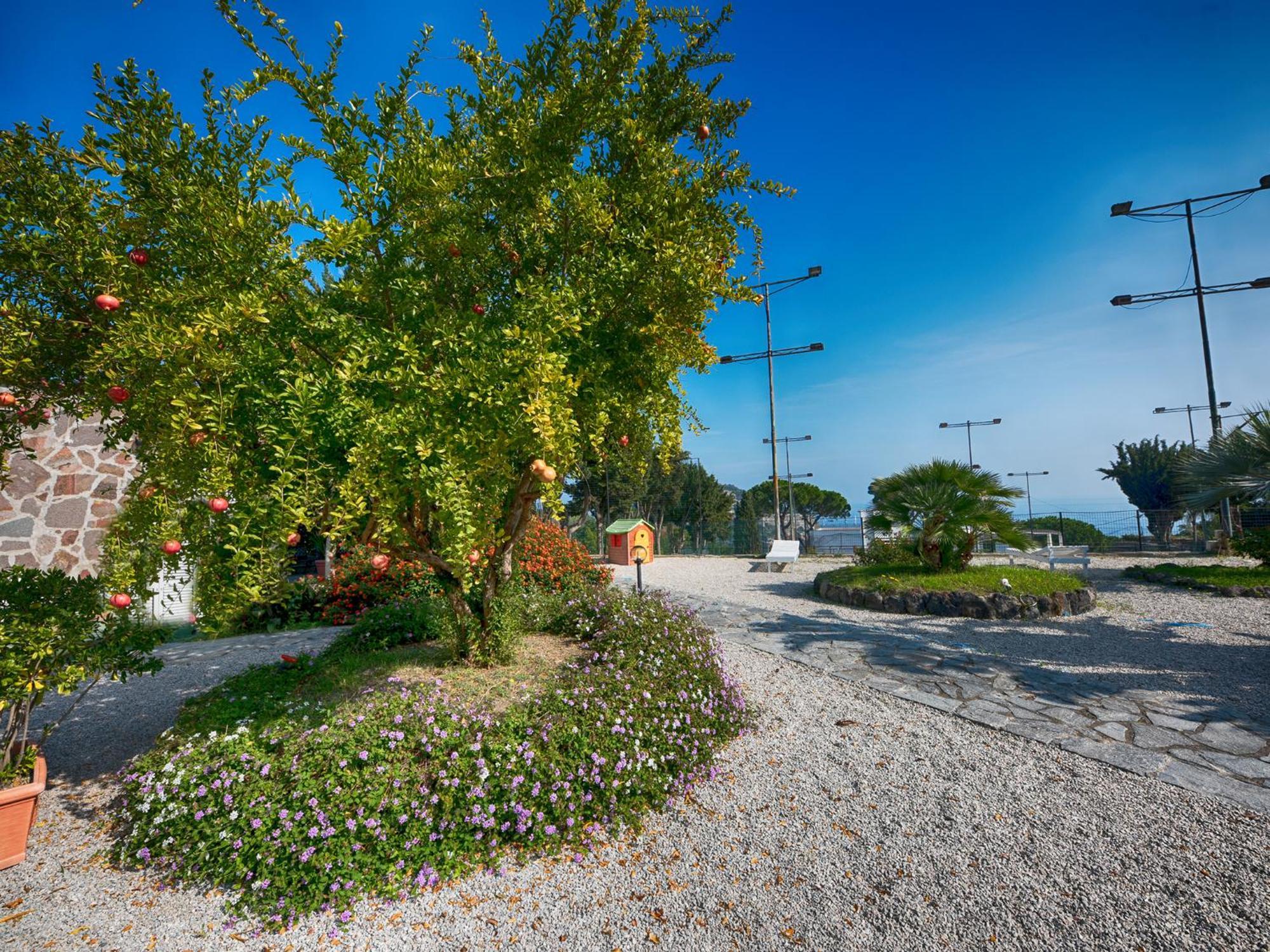 Hotel Parco Cartaromana Ischia Esterno foto