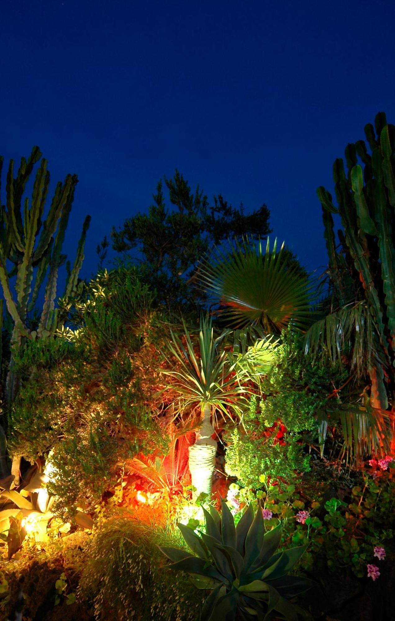 Hotel Parco Cartaromana Ischia Esterno foto