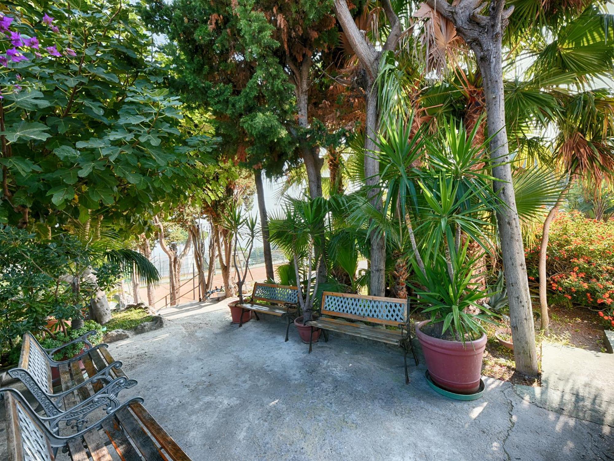 Hotel Parco Cartaromana Ischia Esterno foto